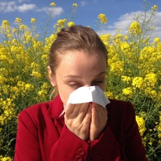 Hoe CBD kan helpen bij een pollenallergie